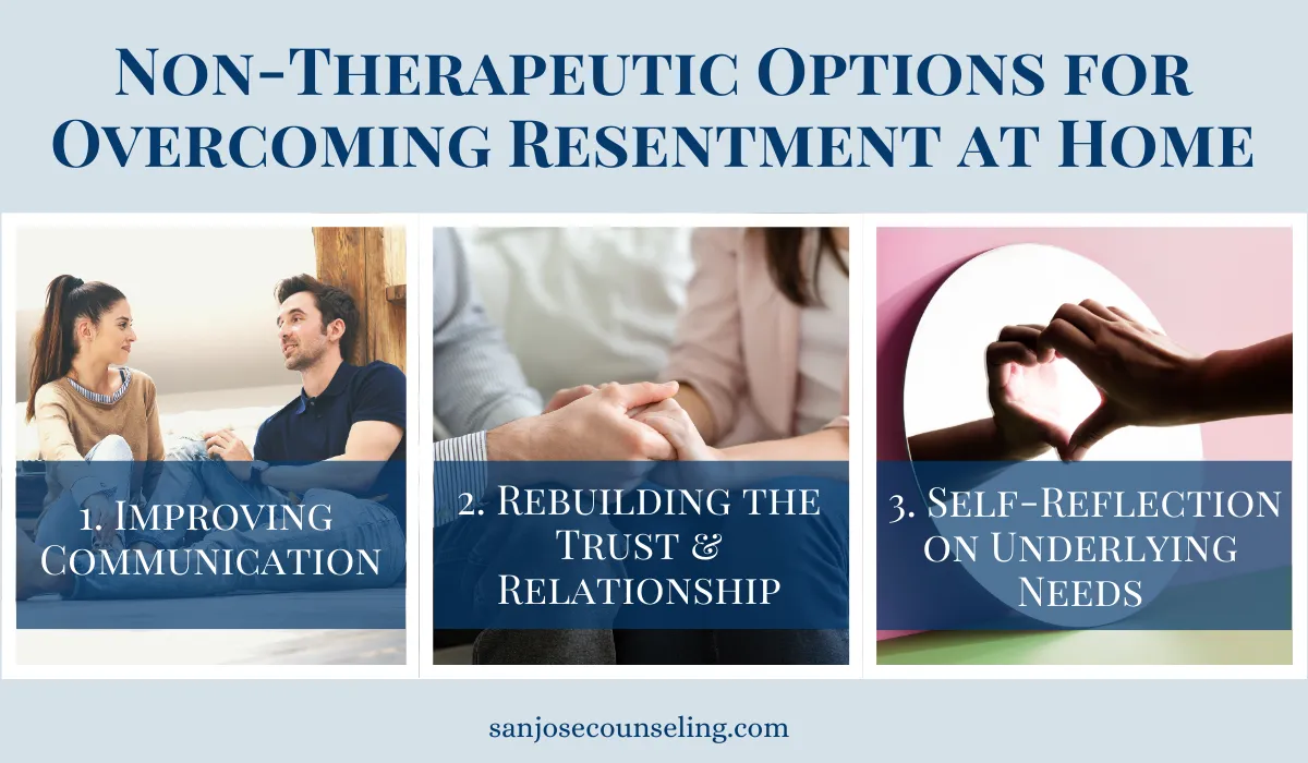 Non-Therapeutic Options for Overcoming Resentment at Home